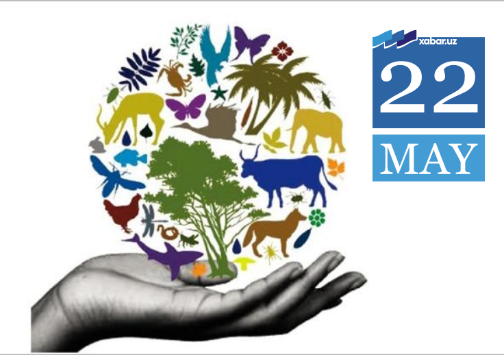 Yosh modellar onlayn