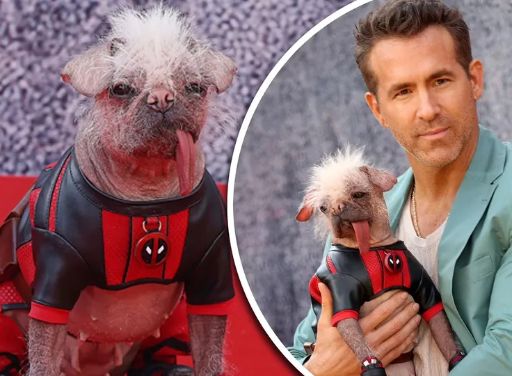 Eng xunuk nipellar Eng xunuk nipellar