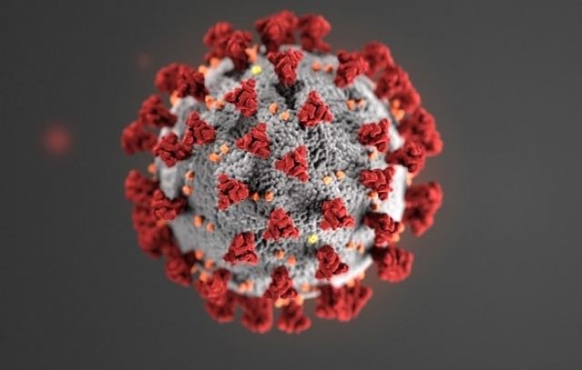 Ученые из Германии и США нашли доказательства лабораторного происхождения коронавируса