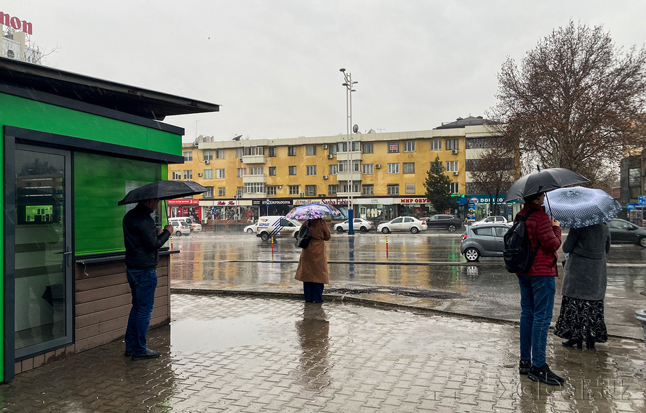 Сегодня по Узбекистану температура воздуха понизится до 7-12 градусов тепла