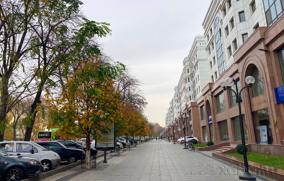 Сегодня ожидается потепление до 20 градусов