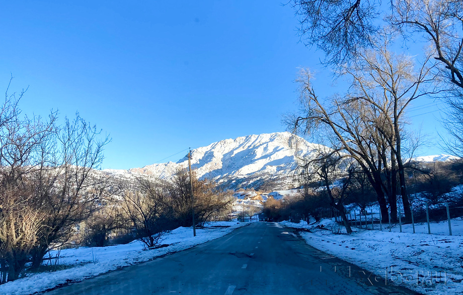 2026 йилнинг илк кунида қандай об-ҳаво кутилади? 