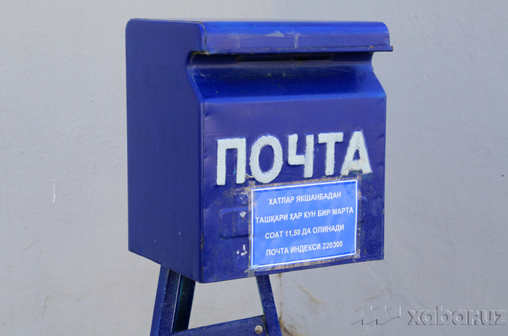 Porno skeytbord video