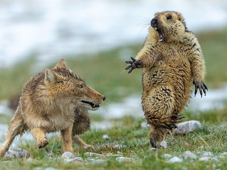 Uch kishi bilan yolgiz