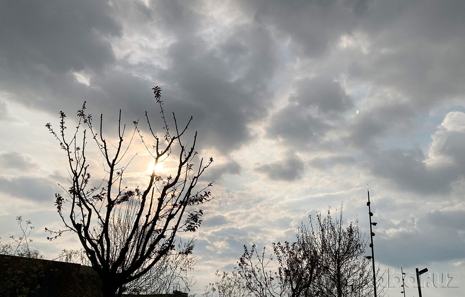 Сегодня температура воздуха по Узбекистану составит 10-15 градусов тепла