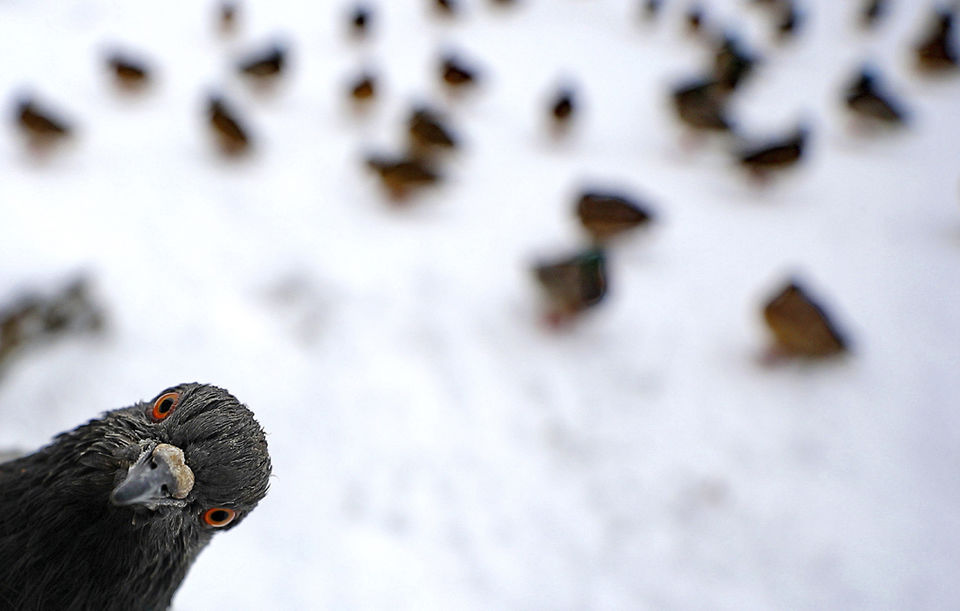 Onam porno onlayn Giantess erotik rasmlar