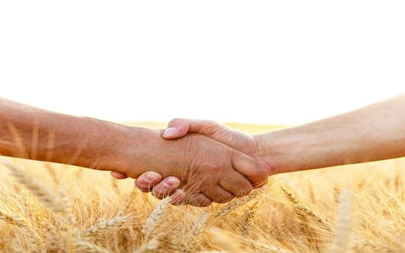 Бухорода фермерлар ҳақи тикланди