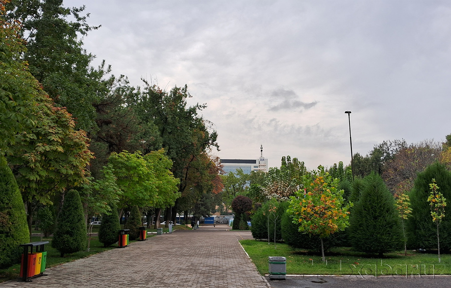 Ноябрда бизни қандай об-ҳаво кутмоқда?