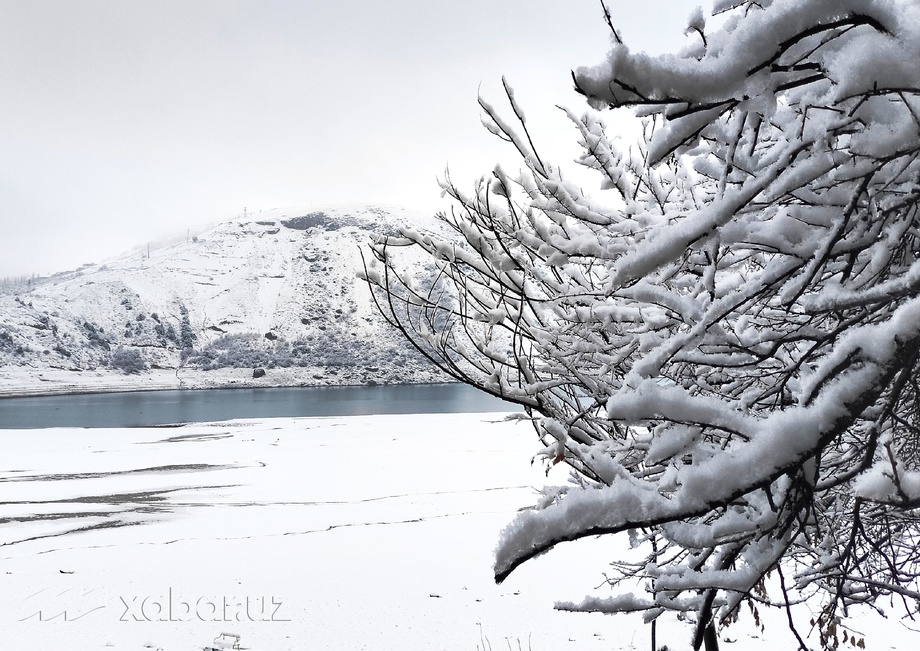 Сегодня температура воздуха по Узбекистану составит 8-13 градусов тепла