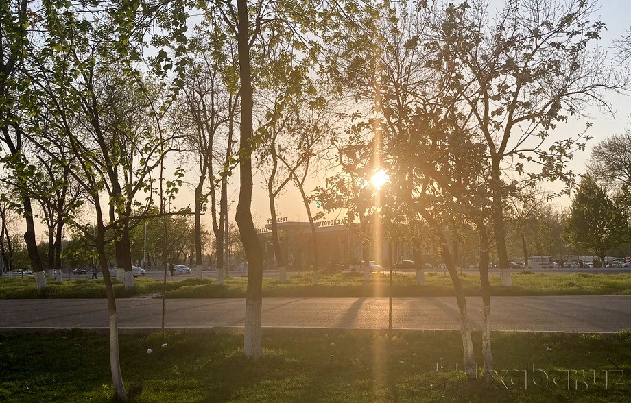 Бугунги куннинг об-ҳаво маълумоти