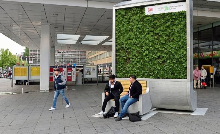 Yalangoch mushukim bilan uxlab qoldim (foto)